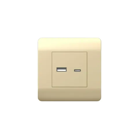 (NEW3-E) Розетка USB A+С, 5В/2,1А, шампань